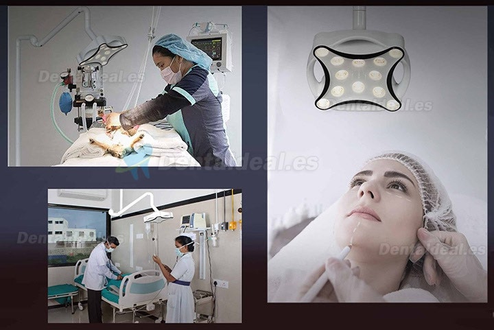 Micare JD1700L Plafond monté Lampe chirurgicale dentaire Led Sans ombre
